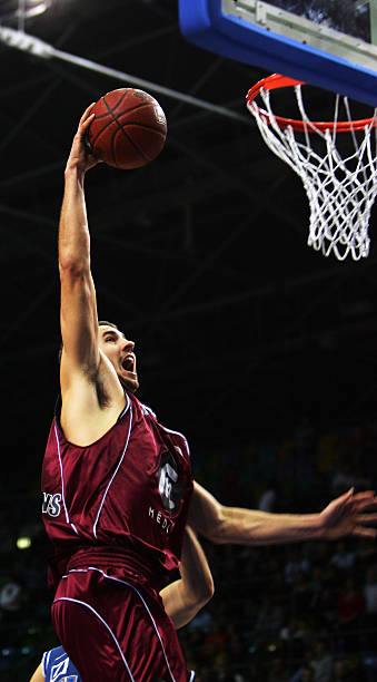 并预测他将 并预测他将